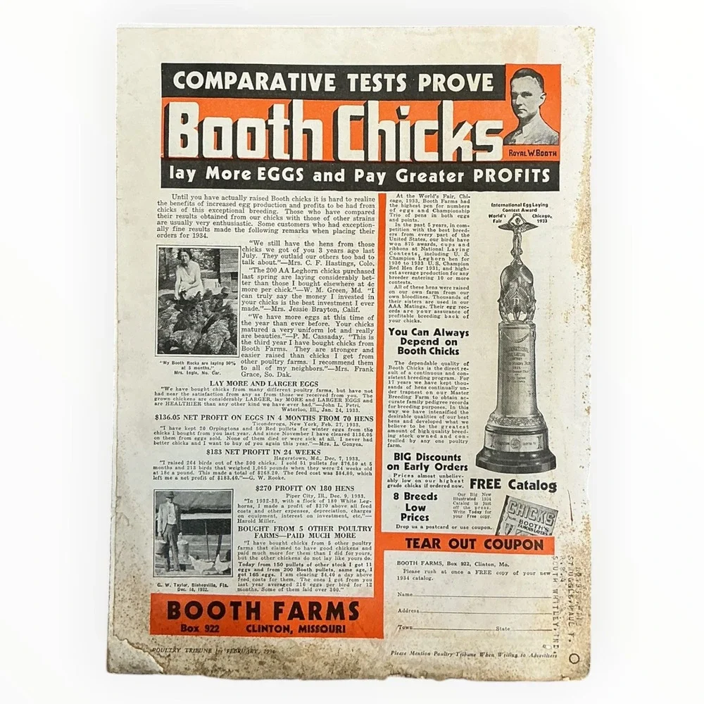 1934 Poultry Tribune February Annual Baby Chick Number Farm Magazine Chicks